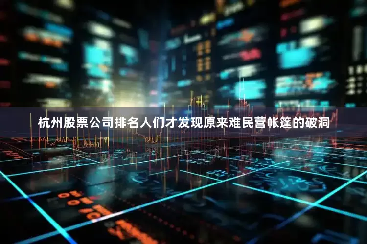 杭州股票公司排名人们才发现原来难民营帐篷的破洞